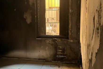 Expert humidité SUD EXPERTISES mesure dégâts bâtiment